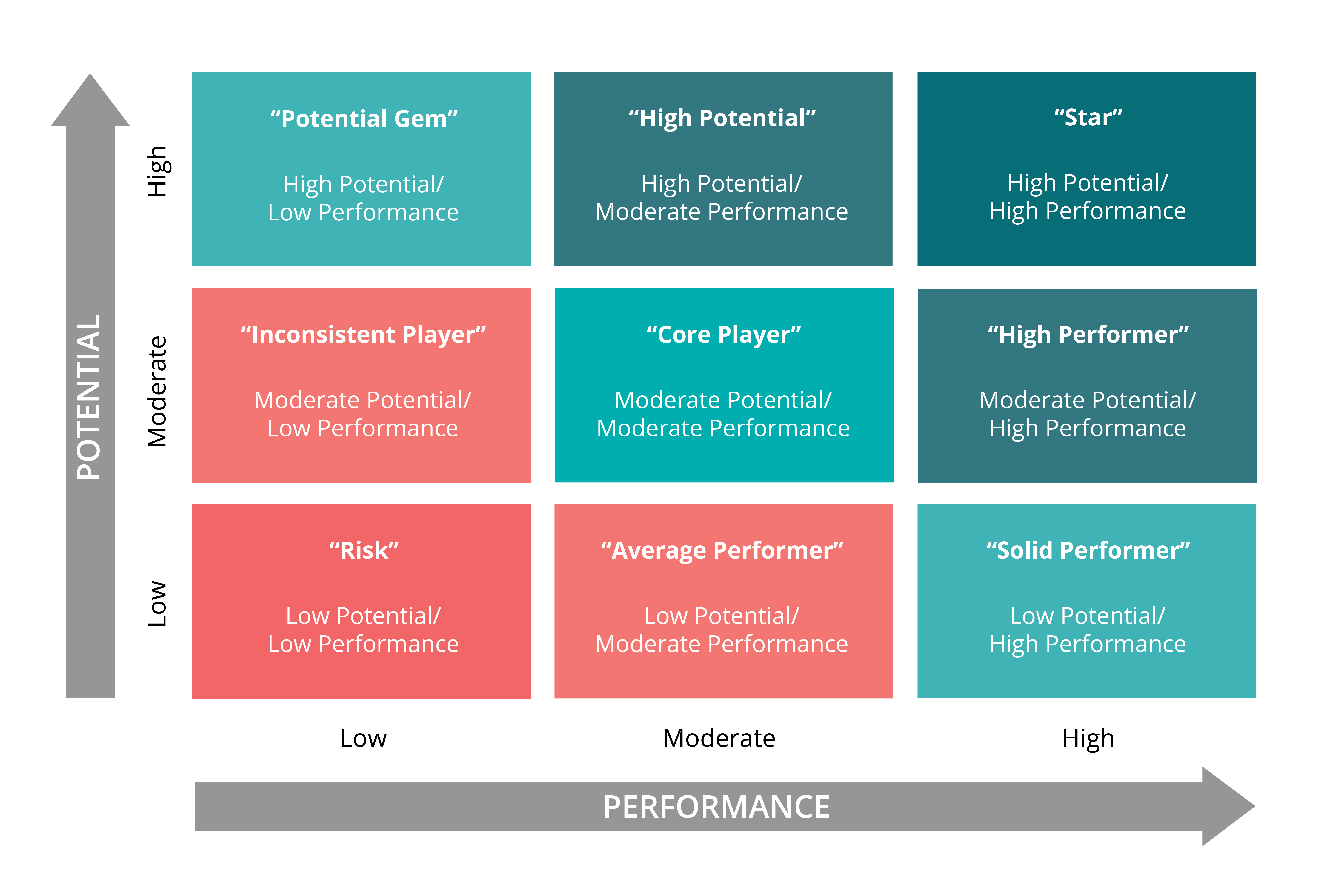 9 box. Leadership potential and personal growth 9box.